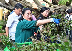 Bí thư Hà Nội cùng người dân thu dọn cành cây gãy đổ sau bão